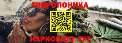 таблы Новозыбков