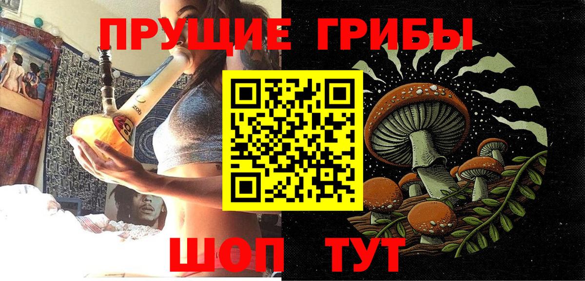 Галлюциногенные грибы мицелий  Вход с VPN  Сосновый Бор 